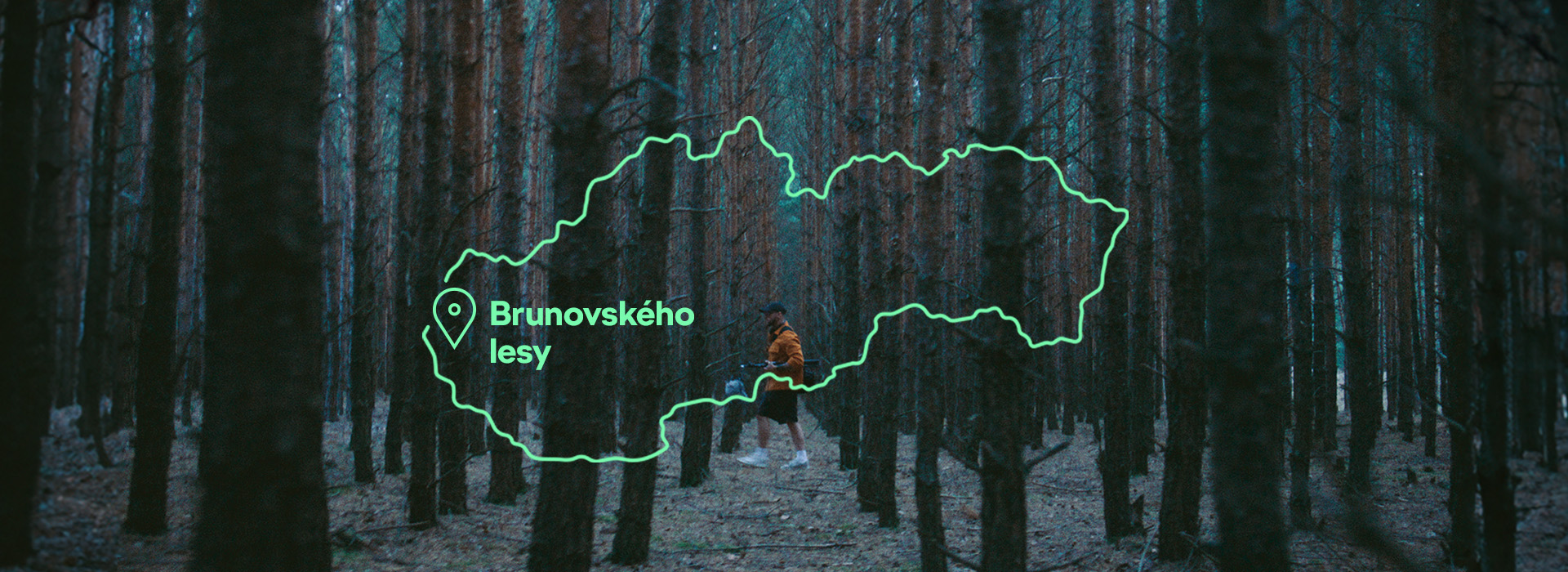 Brunovského lesy, Lozorno